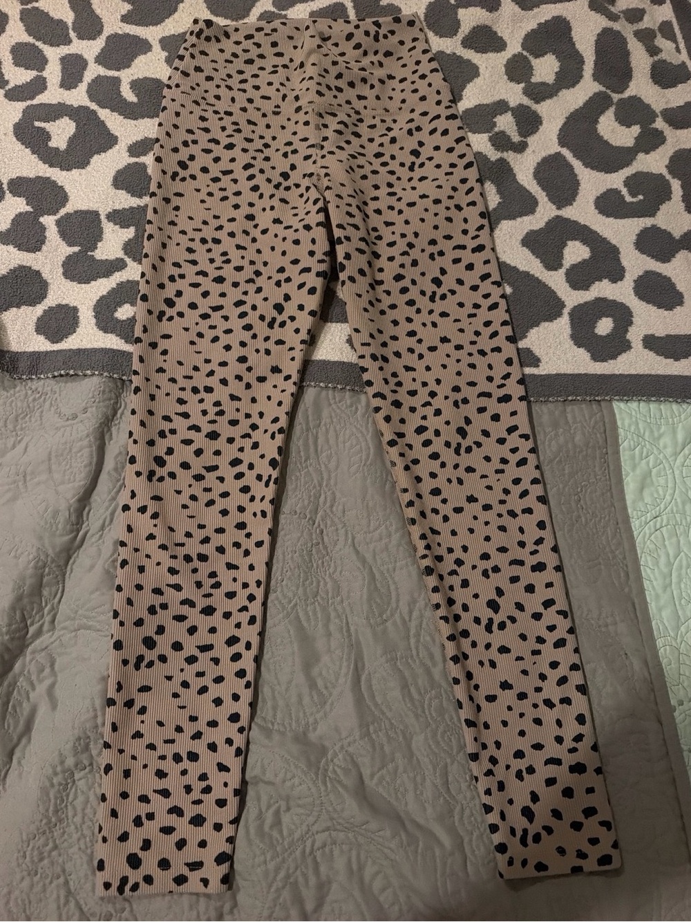 Beach Riot Leopard Print leggings